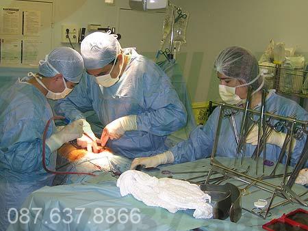 Luc Nao Can Kham Hiem Muon