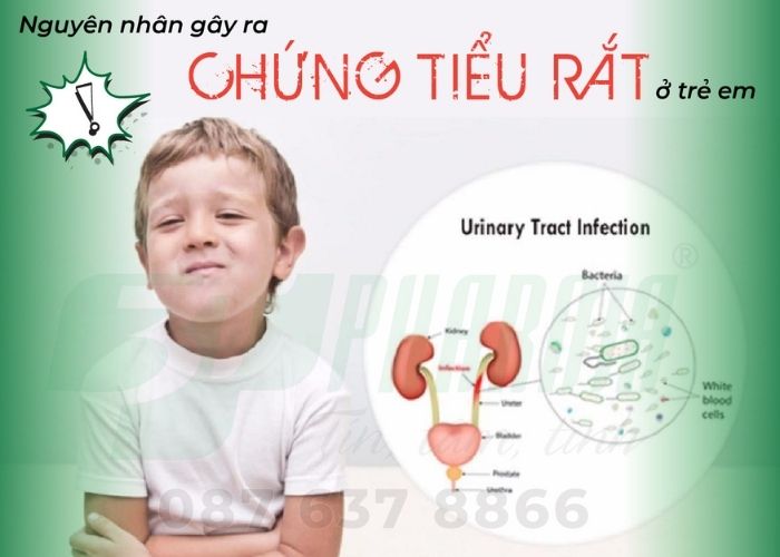 cách chữa trẻ bị đái dắt