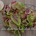 Rau dền chữa táo bón