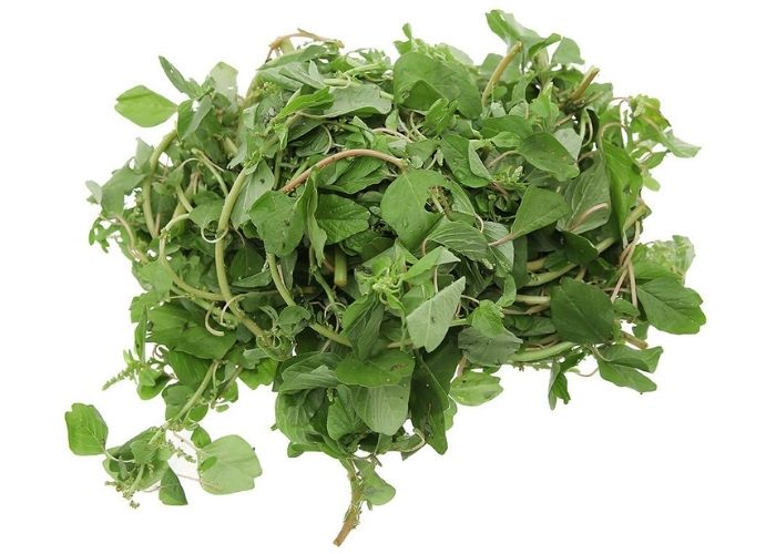 Rau dền chữa táo bón
