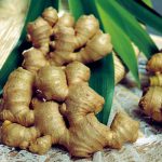 Một số thực phẩm bảo vệ dạ dày của bạn