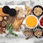 bài thuốc Đông Y trị bệnh trĩ
