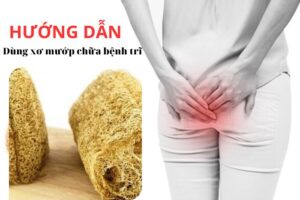 Hướng dẫn dùng xơ mướp chữa bệnh trĩ