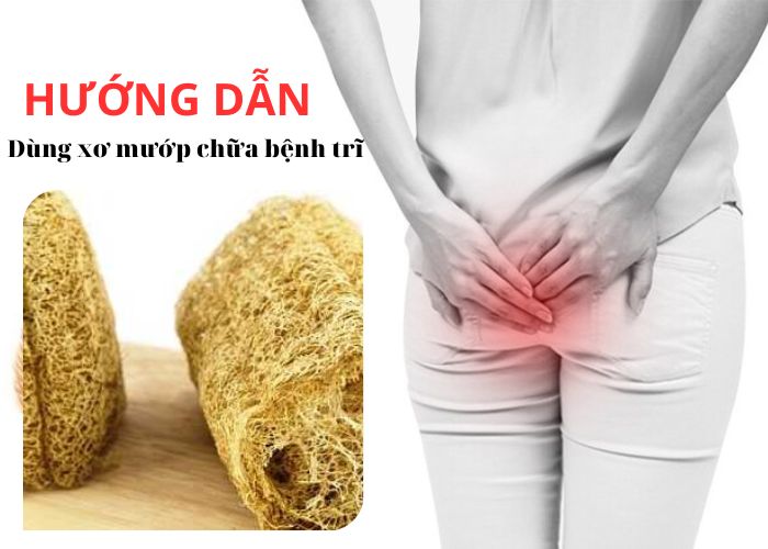 Hướng dẫn dùng xơ mướp chữa bệnh trĩ