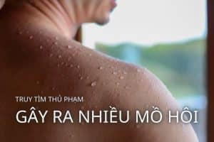 thủ phạm gây ra nhiều mồ hôi