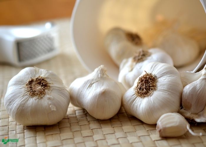 bài thuốc nam chữa bệnh trĩ 