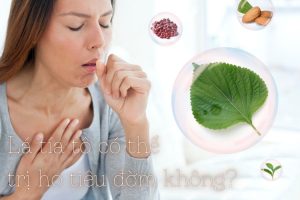 lá tía tô trị ho tiêu đờm