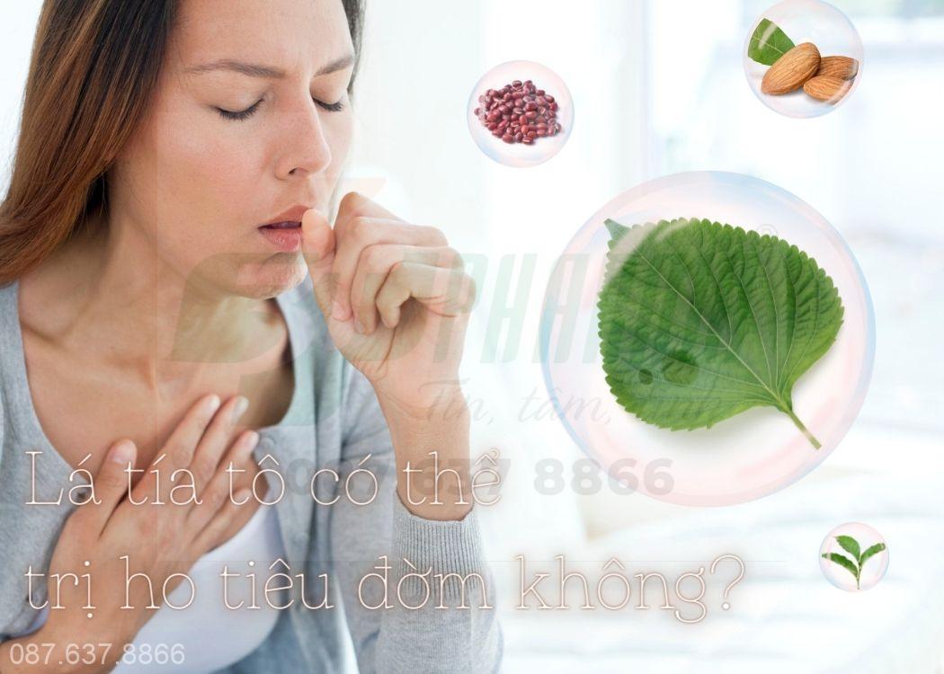 lá tía tô trị ho tiêu đờm
