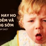 Trẻ hay ho về đêm và sáng sớm phải làm sao