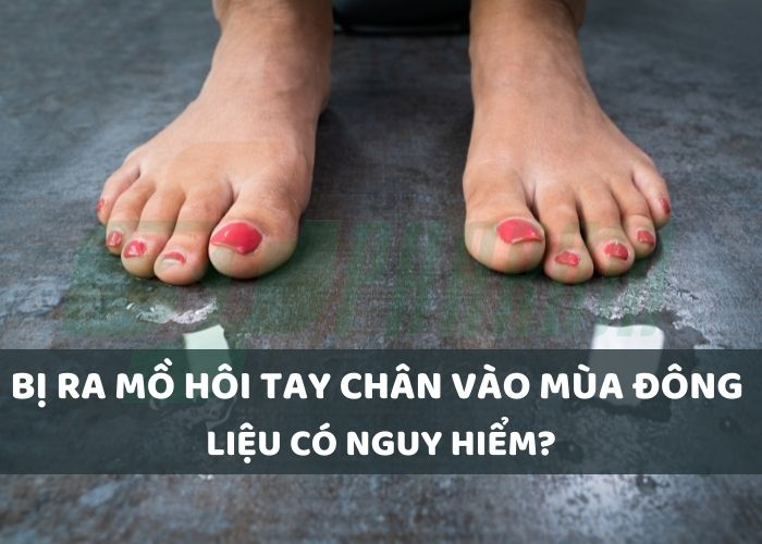 ra mồ hôi chân tay mùa đông, đổ mồ hôi tay chân vào mùa đông, chân tay ra mồ hôi khi trời lạnh, đổ mồ hôi tay chân khi trời lạnh, trời lạnh tay chân ra mồ hôi, trời lạnh đổ mồ hôi tay chân, mồ hôi chân mùa đông, ra mồ hôi chân mùa đông, ra mồ hôi tay chân vào mùa đông, chảy mồ hôi chân mùa đông, bị ra mồ hôi chân vào mùa đông, ra mồ hôi tay mùa đông, ra mồ hôi tay vào mùa đông, chân ra nhiều mồ hôi vào mùa đông, tại sao mùa đông lại ra mồ hôi tay, cách chữa ra mồ hôi chân vào mùa đông