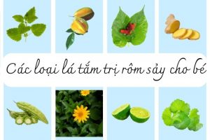 nước tắm trị rôm sảy cho bé