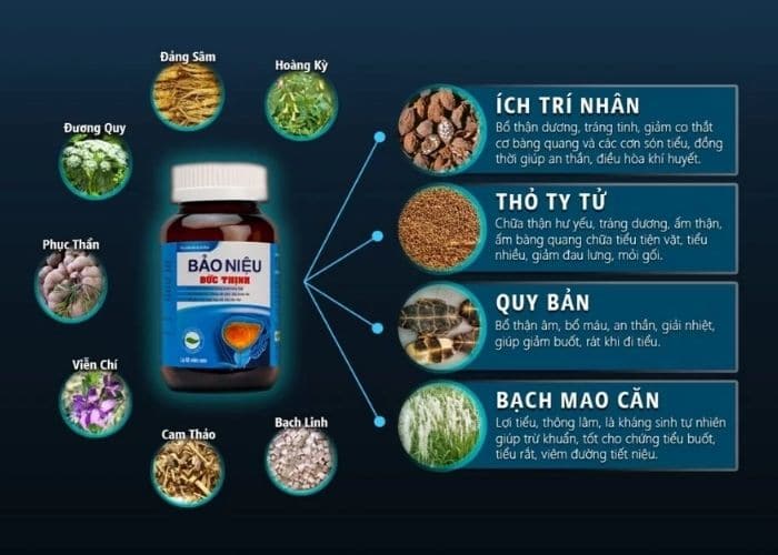 Bảo Niệu Đức Thịnh chính hãng chứa các thành phần từ thảo dược quý hiếm