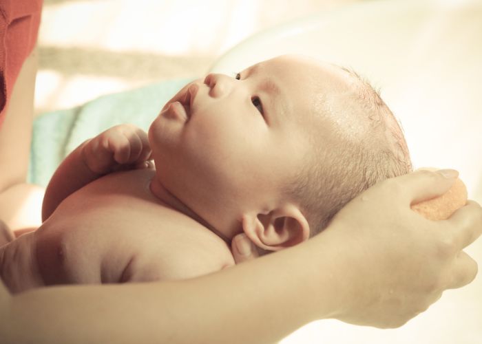 cách trị mồ hôi trộm bằng lá lốt