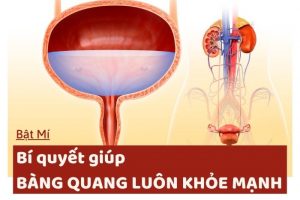 Bí quyết giúp bàng quang luon khỏe