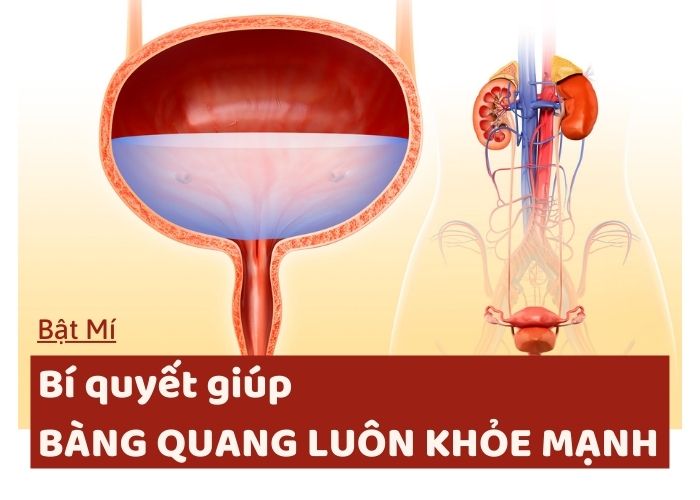 Bí quyết giúp bàng quang luon khỏe