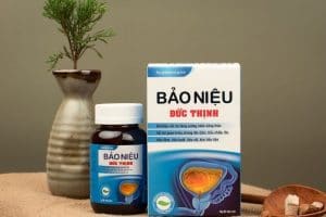 Bảo niệu Đức Thịnh - 3T Pharma