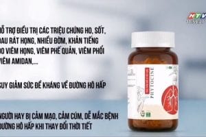 phytocine - htv9