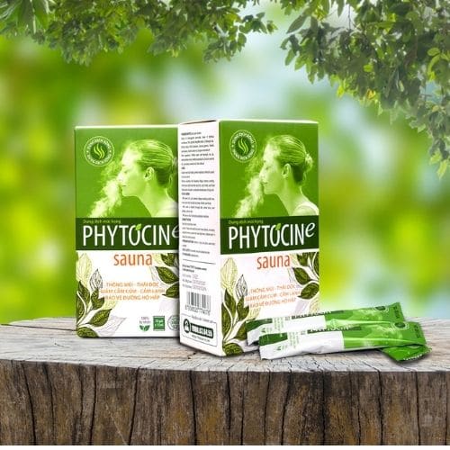 phytocine sauna