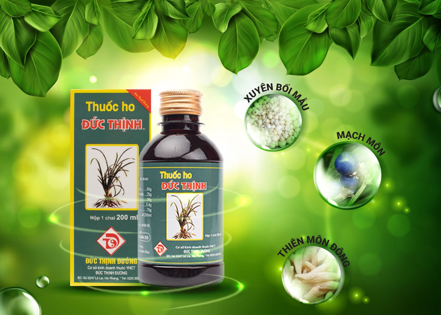 Thành phần của Thuốc ho Đức Thịnh