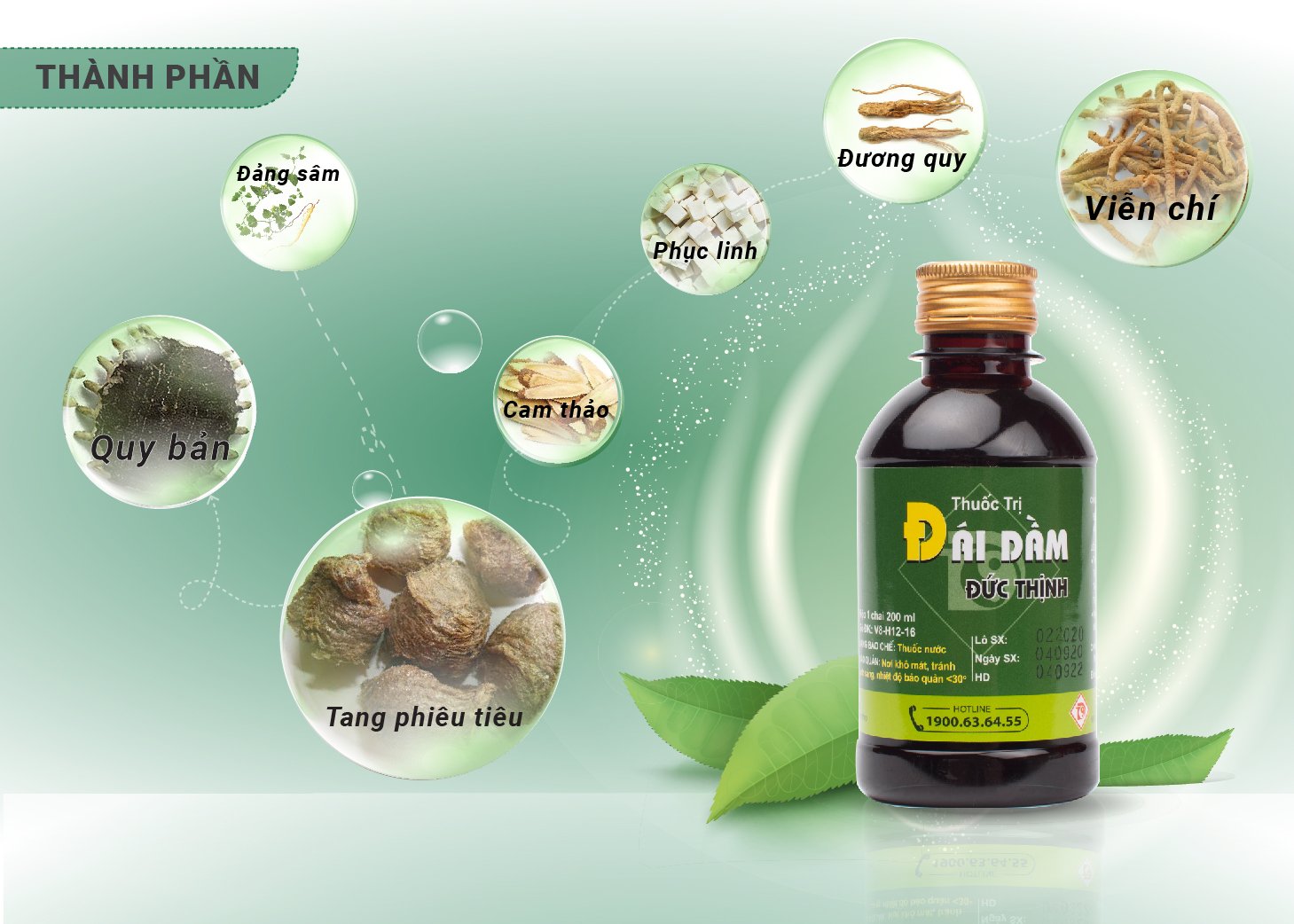 Thuốc trị Đái Dầm Đức Thịnh - Thuốc trị bệnh đái dầm ở người lớn