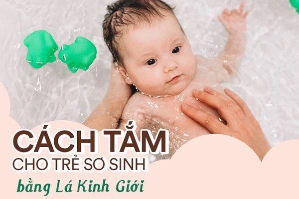 Cách tắm cho trẻ sơ sinh bằng lá kinh giới