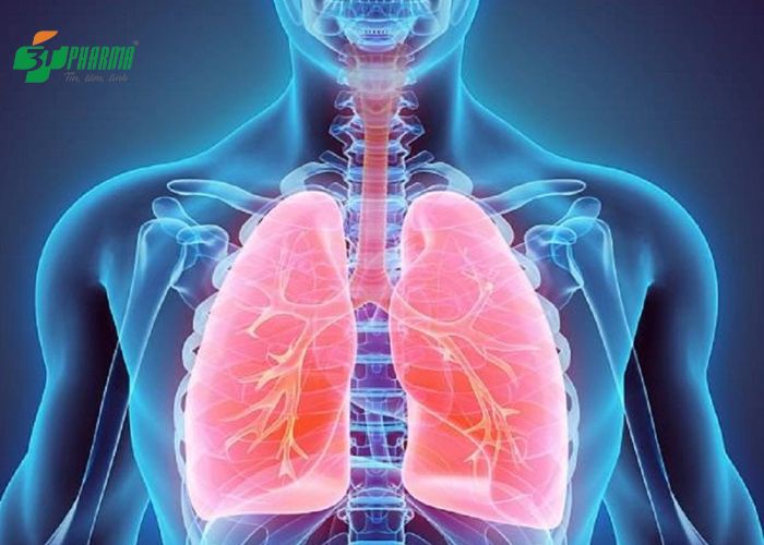 Viêm phế quản là một loại viêm phổi gây tổn thương cho tế bào phủ bên trong lòng ống phế quản.