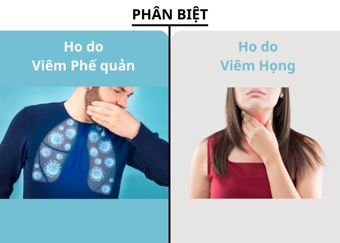 Cần phân biệt ho do viêm phế quản và ho do viêm họng để có cách điều trị phù hợp