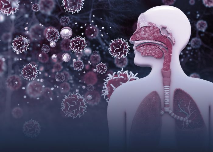 Virus, vi khuẩn là tác nhân chủ yếu gây viêm phế quản 