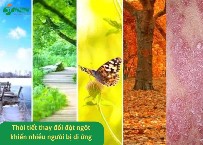 Thời tiết thay đổi đột ngột khiến nhiều người bị dị ứng