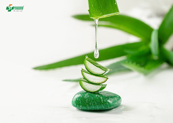Thoa gel nha đam giúp giảm triệu chứng khó chịu do dị ứng thời tiết gây ra