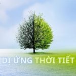 Dị ứng thời tiết thường gặp khi chuyển mùa