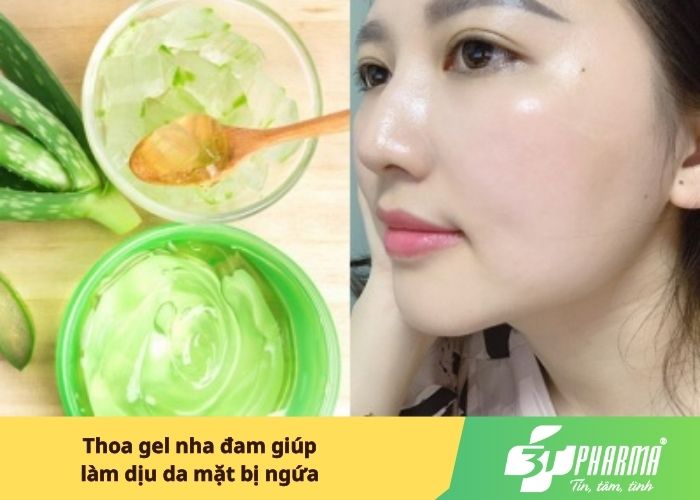 Thoa gel nha đam giúp làm dịu da mặt bị ngứa