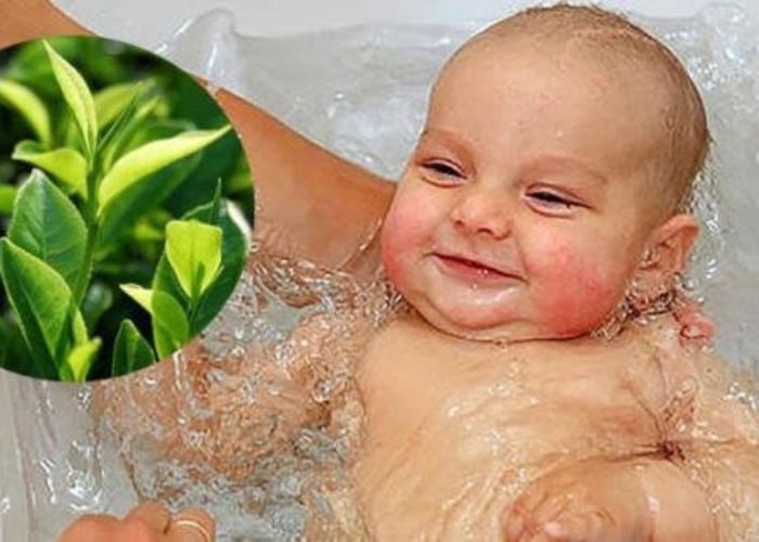 Tắm lá chè xanh giúp giảm mẩn ngứa hiệu quả