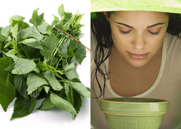 Xông hơi lá kinh giới giúp cải thiện dị ứng mẩn ngứa da rất tốt
