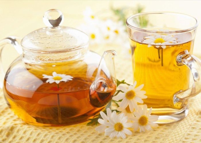 Uống trà hoa cúc mỗi ngày sẽ giúp đẩy lùi các triệu chứng trào ngược hiệu quả