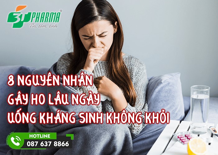 8 nguyên nhân gây ho lâu ngày uống kháng sinh không khỏi và cách điều trị - 3T Pharma