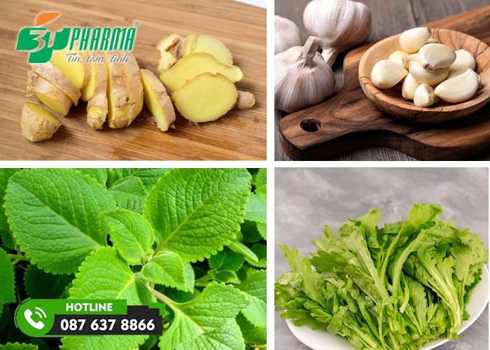 các mẹo trị ho dân gian an toàn mẹ nên thử cho trẻ sử dụng - 3T Pharma