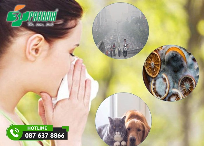 ho có đờm lâu ngày không khỏi có thể do người bệnh tiếp xúc với các tác nhân gây dị ứng thường xuyên - 3T Pharma