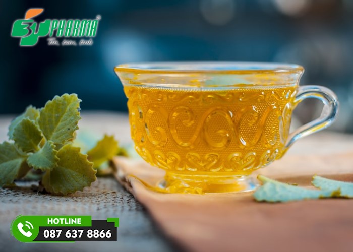 trà lá húng chanh chữa ho cho trẻ - 3T Pharma