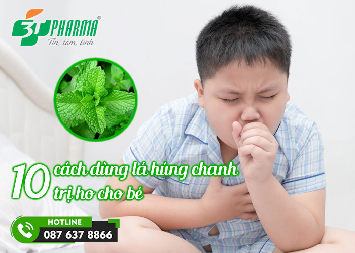 10 cách dùng lá húng chanh trị ho cho bé hiệu quả mẹ có biết? - 3T Pharma