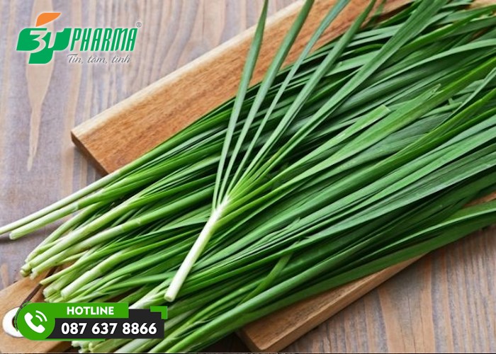 mẹ có thể dùng lá hẹ để trị ho cho trẻ trên 1 tuổi - 3T Pharma