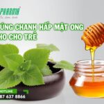 hướng dẫn dùng lá húng chanh hấp mật ong cho trẻ sơ sinh trị ho - 3T Pharma