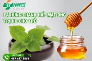 hướng dẫn dùng lá húng chanh hấp mật ong cho trẻ sơ sinh trị ho - 3T Pharma