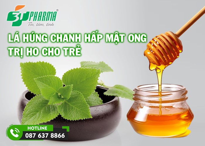 hướng dẫn dùng lá húng chanh hấp mật ong cho trẻ sơ sinh trị ho - 3T Pharma