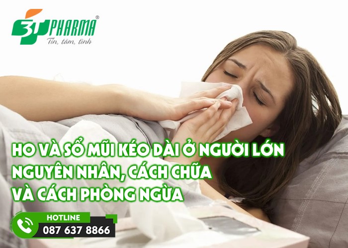 ho và sổ mũi kéo dài ở người lớn - 4 nguyên nhân và cách chữa - 3T Pharma