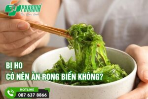 Bị ho có nên ăn rong biển không? - Lời khuyên của Bác sĩ! - 3T Pharma