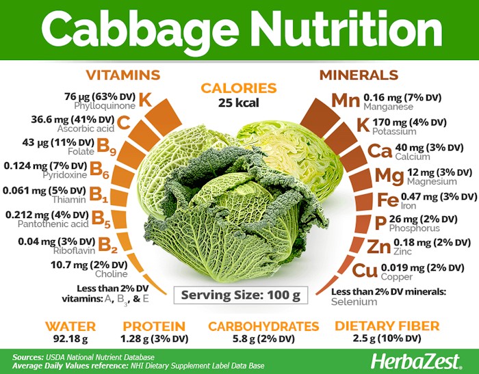 Thành phần dinh dưỡng của bắp cải theo Bộ Nông nghiệp Hoa Kỳ - 3T Pharma