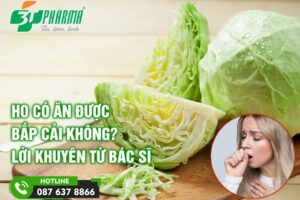 Ho có ăn được bắp cải không? - Lời khuyên của Bác sĩ - 3T Pharma
