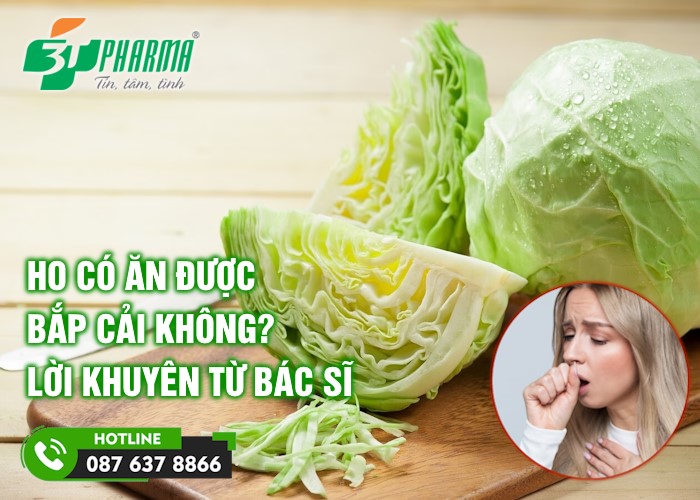 Ho có ăn được bắp cải không? - Lời khuyên của Bác sĩ - 3T Pharma