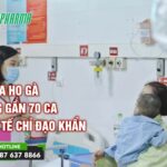 Số ca ho gà tăng nhanh gần 70 ca - Bộ Y tế chỉ đạo khẩn - Tin sức khoẻ - 3T Pharma